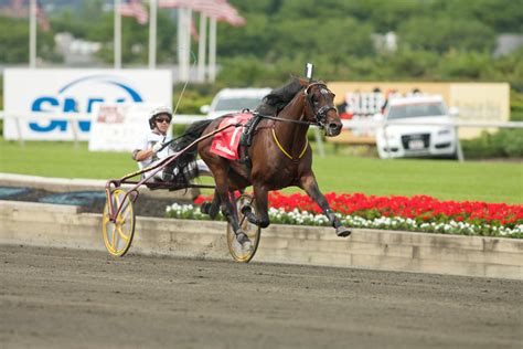 meadowlands harness results|Meadowlands Entries & Results for Saturday, 10.